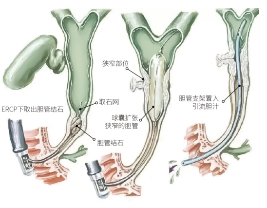 企业微信截图_17211124157318.png